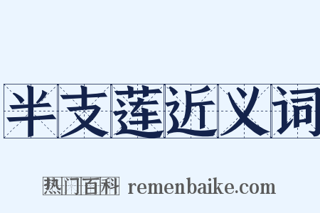 半支莲近义词是什么意思的图片